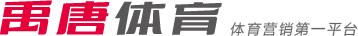 領球隊歷經