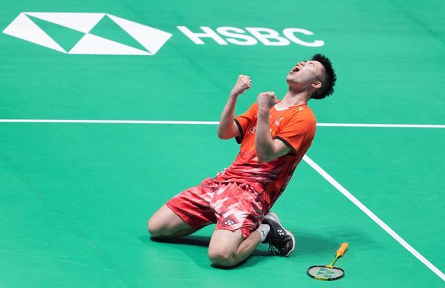 的玉米种植 的玉米种植